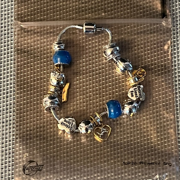 NFL DETROIT LIONS PRE-LOVED BRACELET CHARM FROM THE BRADFORD EXCHANGE - Picture 15 of 17